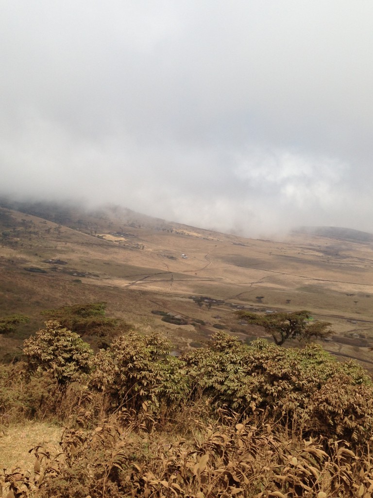 ngorongoro-2