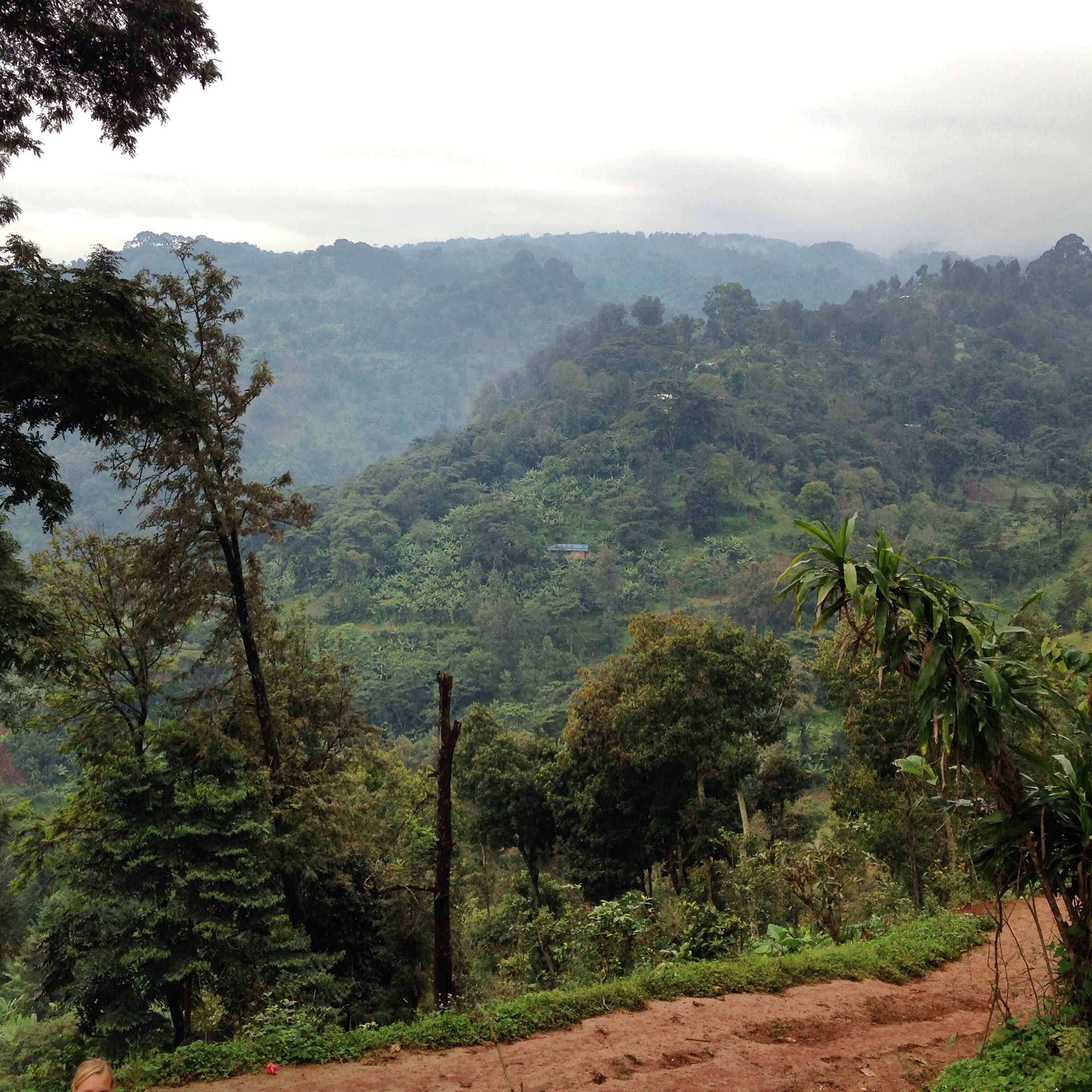 Ausflug nach Arusha – Tag 3 – Wandern beim Kilimanjaro