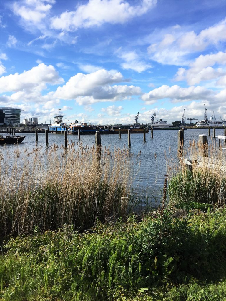 amsterdam rem eiland